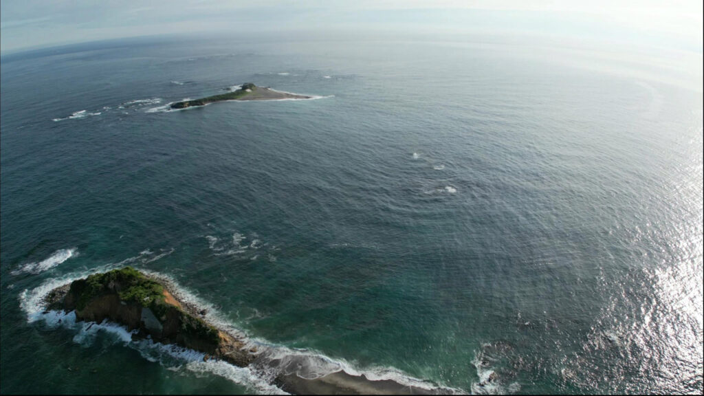 小島上空から大島を望む